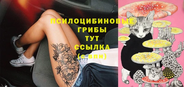 PSILOCYBIN Краснотурьинск