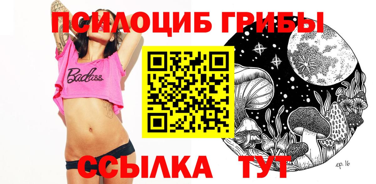 Краснотурьинск  Галлюциногенные грибы Psilocybine cubensis  Галлюциногенные грибы прущие грибы  Вход с VPN 