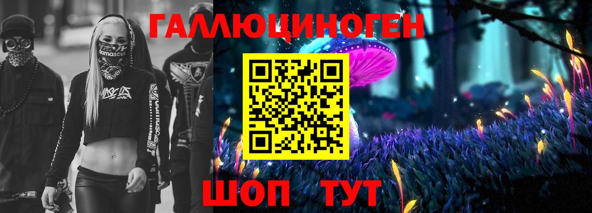 Галлюциногенные грибы Psilocybine cubensis Краснотурьинск